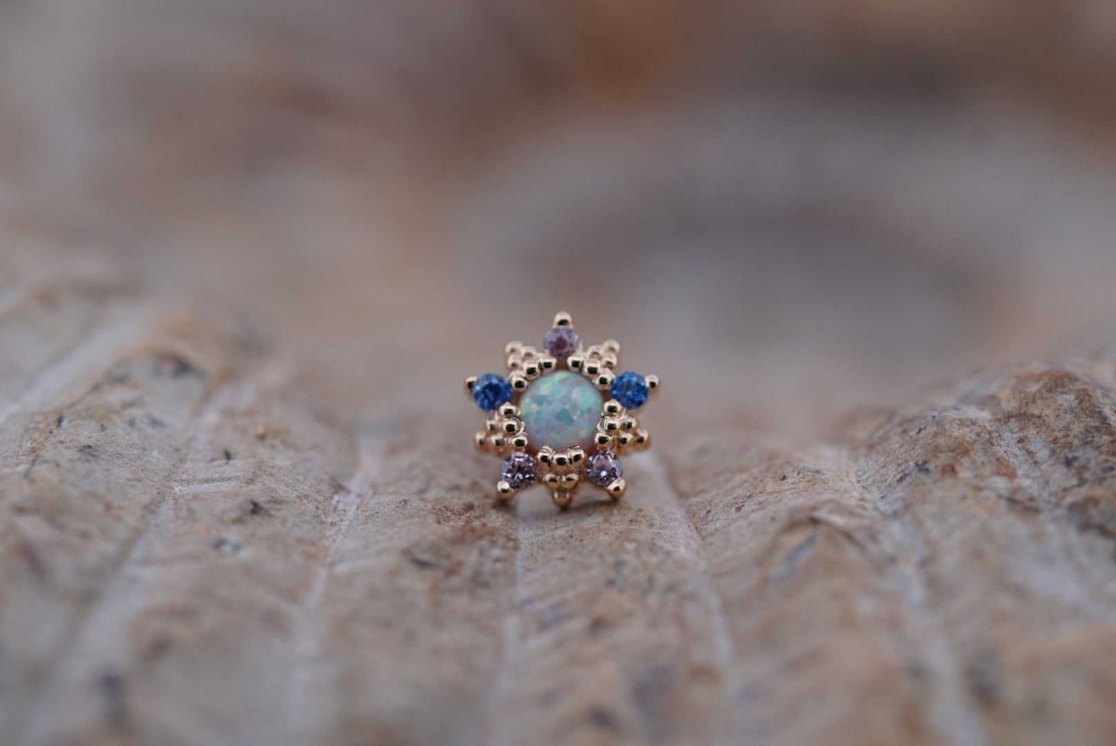 Wren Make Me Holey BP